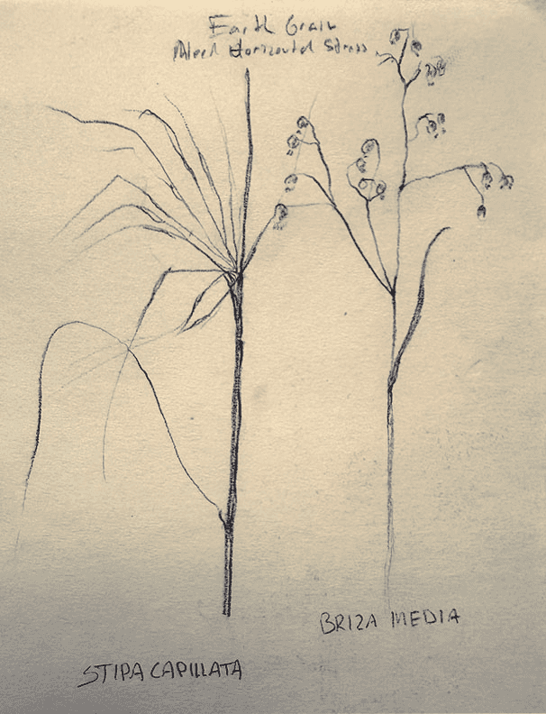 Earth grain