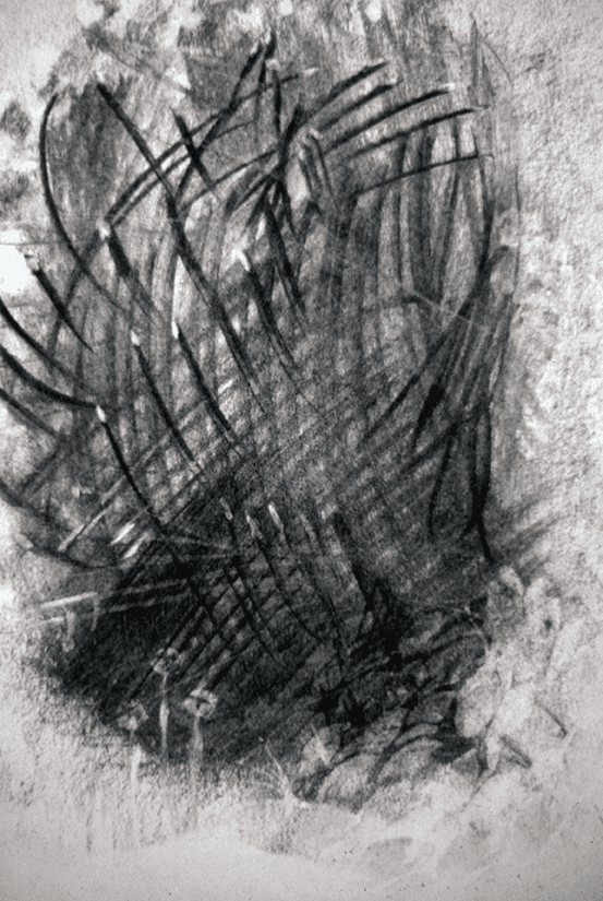 Charcoal study