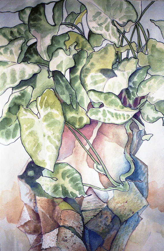 Plant body